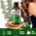 Rosemary Oil For Hair Growth Organic Rosemary Essential Oil For Hair & Skin Care Rosemary Hair Oil For Hair Loss Treatment Stimulate Hair Regrowth Nourishes Scalp For Women & Men - Buy Online on GoSupps.com