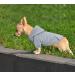 IDEPET Pet Towel - Multi-Purpose Dog Bathing & Cleaning Pad for Little Dogs & Puppies (Chihuahua Teddy Pudel) - Gray (L 1 Pack) - International Shipping Available - Buy Online on GoSupps.com