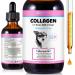 Collagen for Dogs Liquid Collagen for Dogs Collagen Supplement for Dogs Collagen Boost for Dogs with Biotin Bacon Flavor 2 Fl Oz