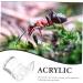 Buy Minkissy Ants Wasser Fitterspender Ant Farm Nest - Formicarium Ant Castle for Living Ants | 2.5x2.1cm Ant Colony Workshop & Food Dispenser - Buy Online on GoSupps.com
