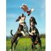3-Piece Squeaking Dog Plush Toy Set - Soft Animal Toys for Small & Medium Dogs - Buy Online on GoSupps.com