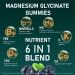 Fruitoday Magnesium Glycinate Gummies with Vitamin D3, B6, Calcium & Potassium, Blueberry Flavor, 60 Count - Buy Online on GoSupps.com