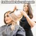 12 Piece Hair Clips for Styling Sectioning Hair Clips Hair Sectioning Clips Hair Styling Accessories Hair Styling Clips Sectioning Clips Hairdressing Clipsfor Hairdresser Hair Dying Accessories - Buy Online on GoSupps.com