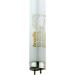 Arcadia FD3P18 D3+ 12-Percent Reptiles Lamp 18 Watt 24-inch 1 Count (Pack of 1) - Buy Online on GoSupps.com