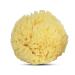 Baby Buddy Natural Wool Sea Sponge - Hypoallergenic Bath Sponge for Tender Skin - 4.5in, Brown - 1 Count - Buy Online on GoSupps.com