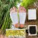 100 x Vita Patchy Vital Plaster Gold - High-Quality Tourmaline Foot Pads & Bamboo Plaster - Best International Shipping - Buy Online on GoSupps.com