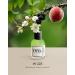 EYFEL Perfumes for Women W223 INSPIRED BY OLIMPY Eau de Parfum Spray Women's Fragrances EDP 50 ml / 1.76 FL. OZ. - Buy Online on GoSupps.com