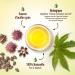 Organic Castor Oil 500 ml Cosmos Organic Plan te au Naturel 100% Natural and Cold Pressed Skin Hair Eyelashes Nails Beard - Buy Online on GoSupps.com