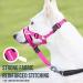 Goodboy Dog Halver with Service Belt - No-Pull Padded Halter for Small Medium & Large Dogs - Training Instructions Included - Pink (Pack of 1) - Buy Online on GoSupps.com