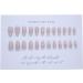 Gradient French Long Acrylic Stick on Nails - 24pcs Coffin Press on Nails with Glue Sticker for Women and Girls - Fashion Fake Nails - Buy Online on GoSupps.com