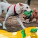 Rmolitty Indestructible Dog Toys - Durable Rubber Puppy Chewing & Squeaking Cactus Toy for Small to Medium Dogs - Buy Online on GoSupps.com