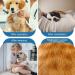 WPCASE DOG Recovery Suit | Surgical Wear for Dogs | E-collar Alternative | Green XS - Ideal for Belly Wounds & Bandages - Buy Online on GoSupps.com
