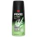 AXE Wild Bamboo Men's Body Spray Deodorant 48hr Odor Protection With Essential Oils Aluminum Free Deodorant Body Spray 4.0oz Grapefruit 4 Ounce (Pack of 1)