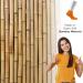 Cosyfeel Women Loose Diabetic Socks | 4-Pack Neuropathy Ankle Socks for Ladies | Super Soft Eco-Friendly Bamboo Material | Durable with Seamless Toe | Multicolour Patterns | 4 Seasons 4-7 ORANGE PEEL - Buy Online on GoSupps.com