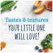 Gerber My 1st Fruits and Veggies Stage 1 Baby Food Starter Pack Bundle - 12 2oz Tubs - Buy Online on GoSupps.com