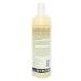 Plantlife Vanilla Orange Body Wash - GMO & Gluten Free | Gentle Moisturizing Natural Body Wash Made in the USA - 14 oz - Buy Online on GoSupps.com