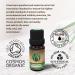 Certified Organic Rosemary Essential Oil 10ml - 100% Pure Therapeutic Grade for Aromatherapy, Massage & Hair Care | Includes e-Book - Buy Online on GoSupps.com