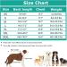 Etdane Dog Onesie After Surgery Pet Surgical Recovery Suit Anti Shedding Bodysuit for Female Male Dog Long Sleeve Claming Pajamas with Legs Grey/XXL XX-Large Grey - Buy Online on GoSupps.com