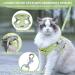 Adjustable Cat Leash Set & Outbreak-Proof Dishes for Cats and Kittens - Green | International Shipping - Buy Online on GoSupps.com