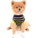 Shop Paidful Summer Clothing for Small Dogs & Cats | Classic Striped Cotton T-Shirts & Vests for Puppies Boys & Girls - Breathable & Stylish! - Buy Online on GoSupps.com