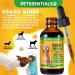 Kidney Support for Dogs 60ml | Premium Herbal Supplement to Enhance Kidney Function | Urinary Health & Bladder Support | Promotes Vitality Fluid Balance & Healthy Appetite | Natural Ingredients - Buy Online on GoSupps.com