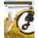 Looxmeer Dog Tow Lines - 3m 5m 7m 10m 15m 20m 30m - Robust Leash with Storage Bag & D-Carabiner | Black 10m - Buy Online on GoSupps.com