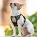 Rabbitgoo No-Pull Dog Harness for Small Dogs Adjustable Breathable Design Safe Control XS Size Ideal for Training & Comfort - Buy Online on GoSupps.com
