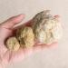 Buy Erba 500g AChat Irregular Geoden-Axhat Crystals - Complete Hollow Stone Sample & Unique White Crystal Cavity for Stone Craft Ornaments - International Shipping Available - Buy Online on GoSupps.com