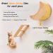 Solid Wood Cat Shelf with Hammock | Wall Climbing Perches for Indoor Cats | Moon Hammock Set - Buy Online on GoSupps.com