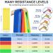 Fokky Fitness Straps 4-Set | Resistance Bands with 4 Levels & Carrying Bag | Ideal for CrossFit Yoga Pilates | Muscle Building for Men & Women - Buy Online on GoSupps.com