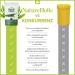 Natureholic Shrimp Food - Premium Main Feed for Aquarium Shrimp | Fish Flour-Free Made in Germany | 30g for Optimal Growth & Tank Health - Buy Online on GoSupps.com