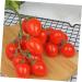 Zerodeko Simulated Small Tomatoes Models Artificial Fruits Fruit Photo Prop Party Decor Home Fruit Ornament Home Supplies Simulation Fruit Fake Fruit Foam Red Cherry Early Teaching Aids Red 4.00X2.00X2.00CM - Buy Online on GoSupps.com