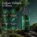 Coffret Shampoing et Apr s-Shampoing L'arbre Th Antifongique Apaise les D mangeaisons et Les Pellicules Pr vient la Chute des Cheveux Lot de 3 Pi ces pour Hommes et Femmes 200ml*2+30ml - Buy Online on GoSupps.com