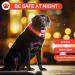 Yordawn Luminous LED Dog Collar - USB Rechargeable Waterproof Adjustable Length 3 Lighting Modes for Small & Medium Dogs and Cats - Enhanced Pet Safety in Red - Buy Online on GoSupps.com