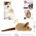 2 Pack Interactive Cat Toys - Feather Squeaky Bird & Mouse Kitten Plush Toys - Motion Activated Melody Chaser - Ideal for Indoor Cats - Three Dogs & A Cat - Buy Online on GoSupps.com