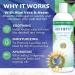 Auromere Ayurvedic Shampoo with Aloe Vera & Neem - Vegan Natural Sulfate & Paraben Free for Dry to Normal Hair - Buy Online on GoSupps.com