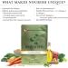 Functional Formularies Nourish Organic Tube Feeding Formula - Nutritional Meal Replacement Supplement Pack of 24 (12 oz Each) - International Shipping Available - Buy Online on GoSupps.com