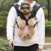 Pawaboo Dog Sunglasses  Small Dog Goggles with Adjustable Band  Waterproof Windproof Snowproof Cool Glasses for Puppy and Cat  Pink - Buy Online on GoSupps.com