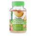 Lifeable Panax Ginseng Root Extract - Great Tasting Natural Flavor Gummy Supplement Vitamins - Non-GMO  Gluten-Free  Vegan  Chewable - for Antioxidant Support - for Adults Men Women Kids - 60 Gummies