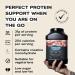 MaxiNutrition Cyclone Chocolate Whey Protein Powder - 31g Protein, Low Sugar & Fat, 204 kcal - 1.26kg (Pack of 1) - Vegetarian-Friendly - Buy Online on GoSupps.com