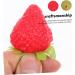 Alipis 20 Pcs Simulated Strawberry Model Home Decor Fruit Lifelike Strawberry Model Strawberry Decor Artificial Strawberry Model Artificial Strawberry Ornament Household Avocado Pvc As Shownx2pcs 3.80X2.50X1.50CMx2pcs - Buy Online on GoSupps.com