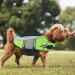ALAGIRLS Dog Life Jacket - Adjustable Pet Lifesaver - High Buoyancy Floatation Vest for Water Safety - Green L (Chest 53-72cm) - Buy Online on GoSupps.com