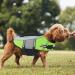 Alagirls Life Jacket for Small Dogs - Adjustable Safety Vest for Swimming & Boating Reflective Handle Green M (48-58cm Chest Circumference) - Buy Online on GoSupps.com