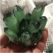 1 pcs Beautiful Green Ghost Phantom Quartz Crystal Cluster Rock Stones Crystals Reiki Specimen Minerals Reiki Decoration Full of Texture 400-500g - Buy Online on GoSupps.com