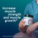 Puori Creatine+ Performance Support | Enhance Athletic Performance & Recovery | Buy Internationally - Buy Online on GoSupps.com