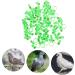 BESPORTBLE 300 Pcs Pigeon Anklet Chicken Legs Tag Pet Where Chick Bands Stuff Pigeon Foot Ring Baby Duck Parrot 1.3X1.3CMx3pcs Greenx3pcs - Buy Online on GoSupps.com