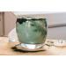 Organic Chlorella Powder 1lb - Non-GMO, Kosher, Vegan Superfood with Broken Cell Wall - Rich in Vitamins & Minerals - Great for Drinks - Bulk Pure Green Protein - Buy Online on GoSupps.com