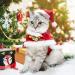 Namsan Christmas Dog & Cat Costume | Festive Xmas Outfit & Hat for Pets - Red Holiday Attire - Buy Online on GoSupps.com