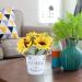 HOMSFOU 1pc Simulated Sunflower Faux Potted Plants Flower in Indoor Planters Sunflower Flower Pot Artificial Household Decor Jug Vase Sunflower Bonsai Decor Iron Plastic Twine Flowers Chic Yellow 20x11cm - Buy Online on GoSupps.com