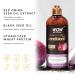 WOW Skin Science Red Onion Black Seed Oil Conditioner 500ml - Nourishing Hair Care | International Shipping Available - Buy Online on GoSupps.com